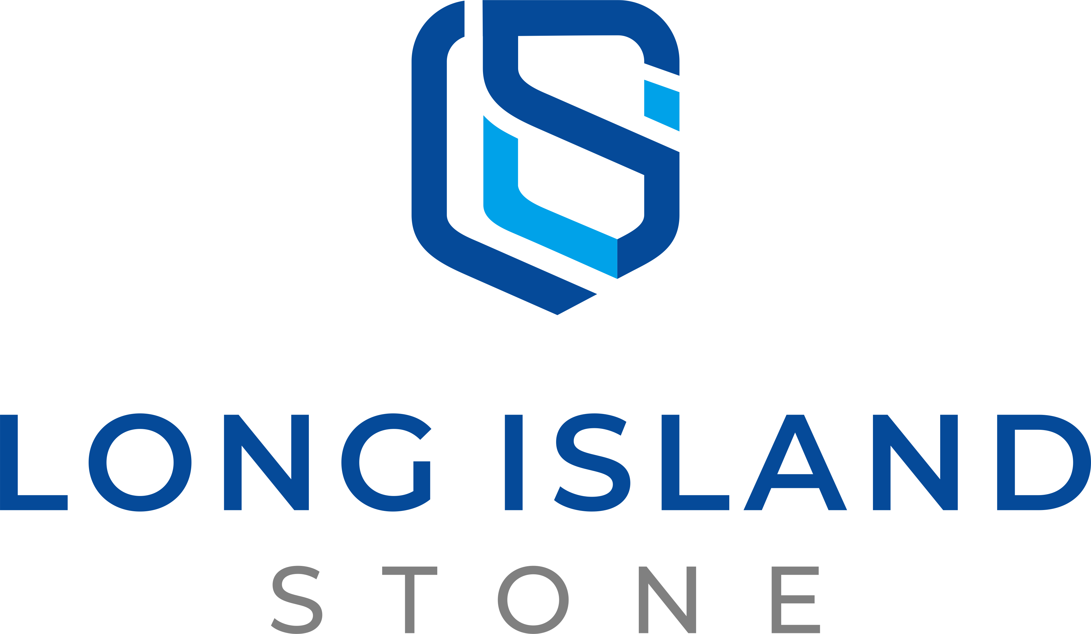 1 Long Island stone (transparent background)